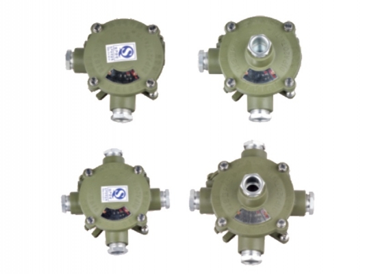 Factory Cheap Hot Flameproof Cable Gland - AH series Explosion-proof junction box – Feice detail pictures